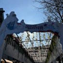 판다스노우 | 에버랜드 눈썰매장 스노우버스터 후기 자유이용권 종일권 할인 정보 (25/1/31까지 2만원대)