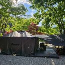 단양 계곡 따라 힐링했던 가족캠핑🏕️ 소풍캠핑장 후기💚