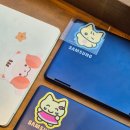 샘골로1L 이미지