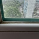 센텀벨라 19단지 이미지