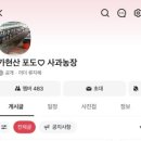 인천 근교 포도나무 분양 5년차 후기 🍇 가현산포도농장에서 직접 수확한 포도