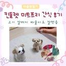 디자인미트 | 킨들릿 미트프리 후기 | 고기 알러지 강아지 훈련용