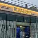 컬러본 | 구디 네일샵 네일끌레아 여름 시럽 패디 컬러 골라본 후기