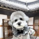 댕그랑댕 이미지