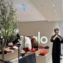 알로 롯데백화점 잠실점 이미지