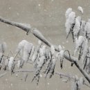 W미술관 이미지