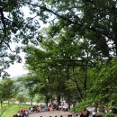 산약초이야기 - 포항시 남구 | 산약초이야기