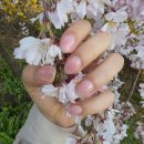 꽃나비 네일 | [서울/성수] 1년째 다니고 있는 성수동 네일샵 '오기브네일(ohgive)' 후기