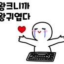 노아프리