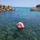 씨유양양 하조대 IC점 | 하조대 전망대 스노쿨링 여름휴가 추천 양양 애견동반 가볼만한곳