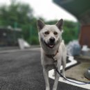 한국도로공사수원지사 이미지