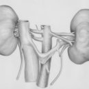 &#34;이 증상 있다면, 신장이 망가졌다는 신호입니다.&#34; 이미지