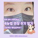 사직1동-4 | 동래 속눈썹 연장 주기와 사직 온뷰티 샵 리뷰