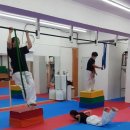 백석 성인 태권도 | 일산 성인태권도, 태권도와 근력운동을 한번에!!!(일산백석,일산마두 태권도)