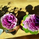 담양민박 이미지