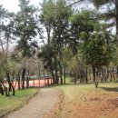 순천금당고등학교 이미지