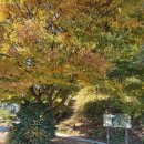 보현산 등산로 | 파주 탄현) 숲과 전망대가 멋진, 반려견 놀이터 파주 보현산