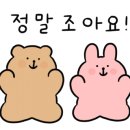 자인스킨앤바디 이미지