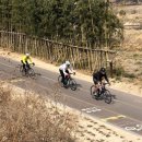 굴화주공아파트앞 이미지