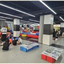 용인대 국가대표 태권도장 이미지