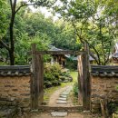 지지마루 민박 | [구례 숙소 추천] 산수유 축제 갈 때 딱! 지리산 뷰 감성 한옥부터 가성비 펜션까지 BEST 3 🌼