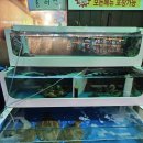 미스미스터포차 이미지