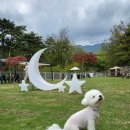 지리산하늘과바람과별과개 이미지