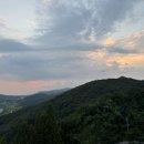 충주펫 | 애견동반 숙소 충주 켄싱턴 리조트 펫룸 다녀온 후기