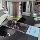 씨엠셀(CM bio cell) 이미지