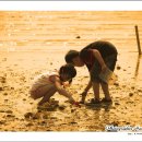 바닷가에서 이미지