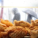 슈붕아 아이뉴스24