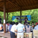 용정초등학교 이미지