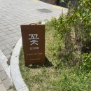 싱그라