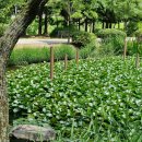 강남서로2 네이버블로그