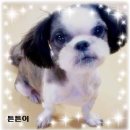 (주)말티 이미지