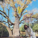 최명숙