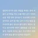 개수작 이미지