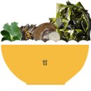 팔도비빔밥 이미지