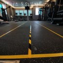 피트니스 동의보감 이미지