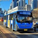 은곡농장 이미지