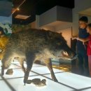 우리동네 고고학자(여름방학) 이미지