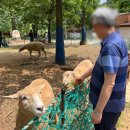 동암목장 이미지