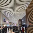 에프2호텔 | [인천-뉴욕] 아시아나 OZ222 오로라 관측 팁, 이코노미 기내식 후기, 존에프케네디공항 입국심사