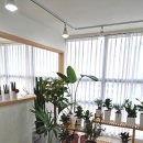 보니토플라워