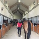 본마사동 이미지