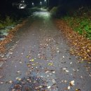 도구로 132 이미지