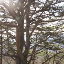 개곡2리마을회관 이미지