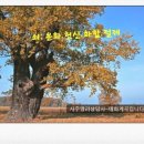 ◆﻿12운성의 성정 : 쇠(衰)----매화계곡 이미지