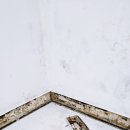 부곡복지관길 이미지