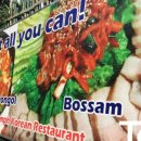 우드님프 이미지